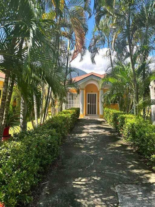 Villa De Ali In Palma Real La Ceiba Buitenkant foto